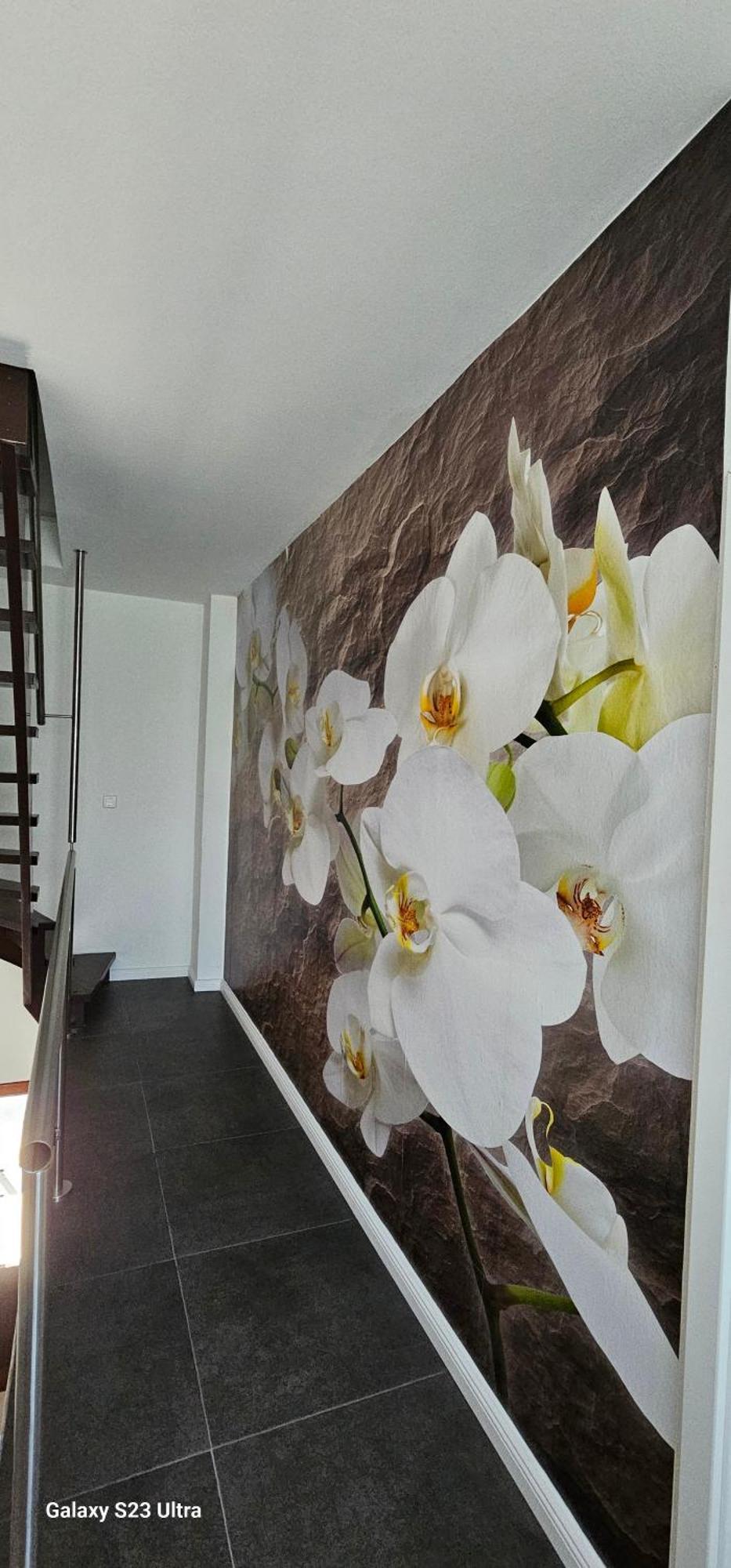 Gaestehaus Orchidee Hoya Ngoại thất bức ảnh